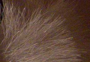 Nikon Coolpix P330: do vyšších sfér