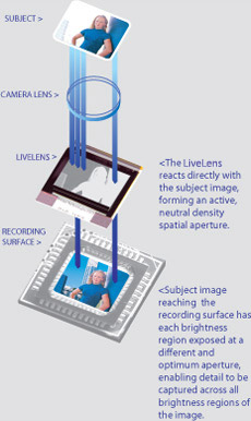LiveLens: Tekuté krystaly pro zvýšení dynamického rozsahu