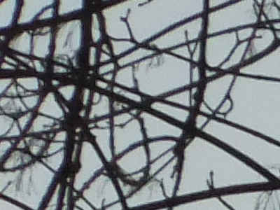 Fujifilm FinePix F300EXR: klame tělem