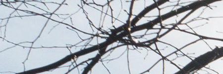 Panasonic Lumix G Vario 35-100mm F4-5.6 MEGA O.I.S.