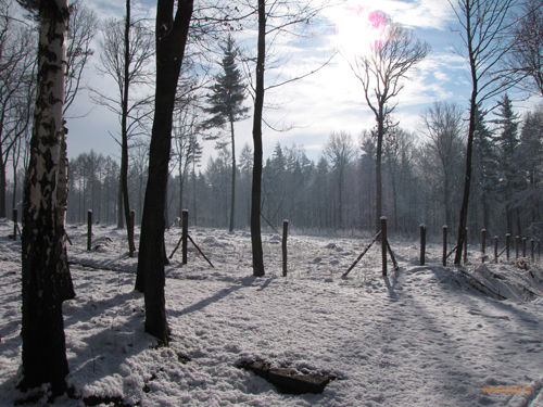 Canon PowerShot SX1 IS vs. SX10 IS: souboj CMOS a CCD