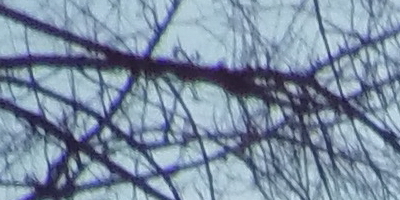 BenQ GH600 a GH700: levné překvapení