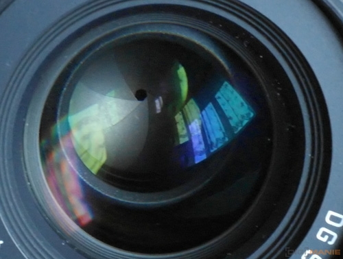 Fotíme s Koalou: Clona