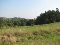 Canon PowerShot S2 IS: dvanáctinásobné oko Canonovo