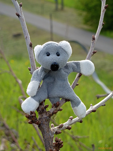 Fotíme s Koalou: Blesk