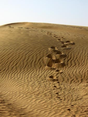 Úpravy fotografií v PC, 6.díl - jas