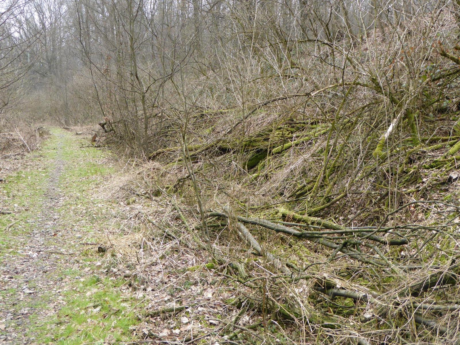 Panasonic Lumix TZ70: krůček k profi ultrazoomu