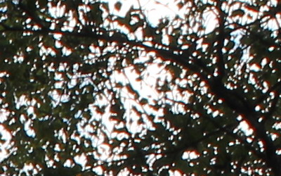 Canon EF-S 18-55mm F3,5-5,6 IS II