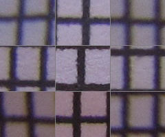 Canon PowerShot G11: géčko, o jakém jsme snili