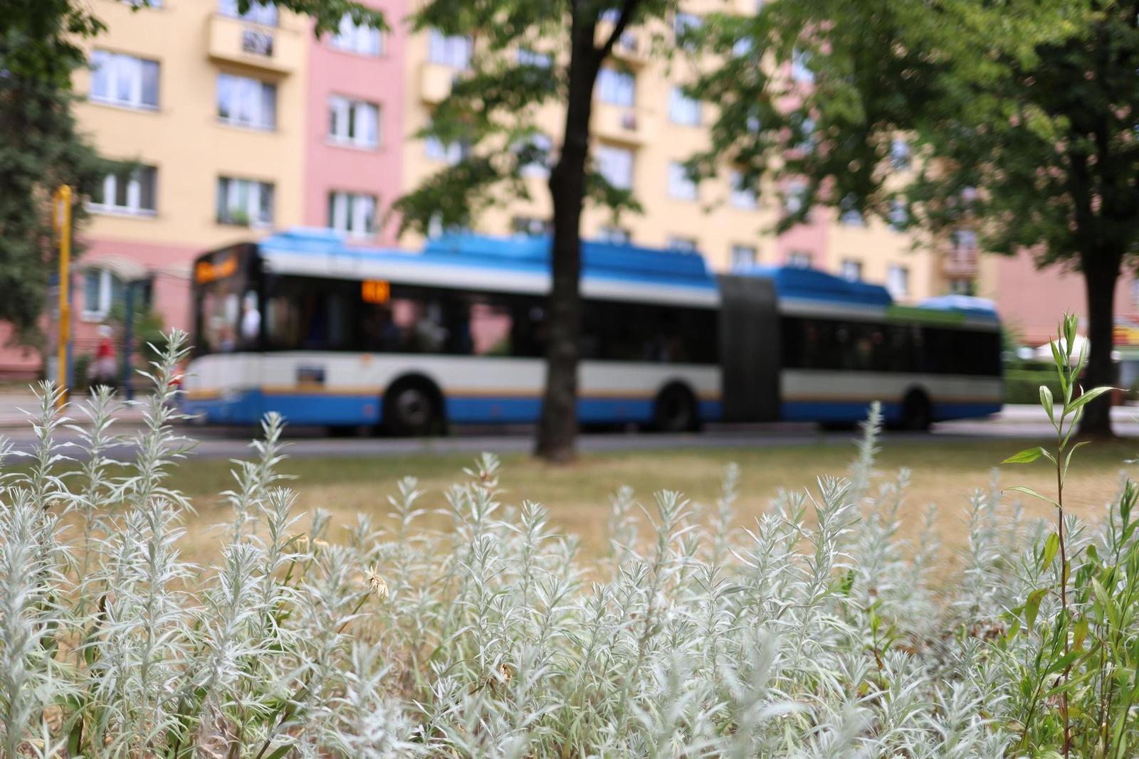 Canon EF 35mm f/2 IS USM