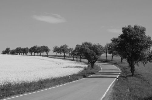 Zrcadlovka a já: Analog versus digitál