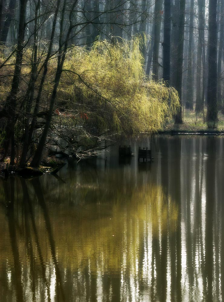 Úpravy fotografií v PC, 6.díl - jas