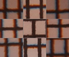 Canon EOS 550D: třídní premiant