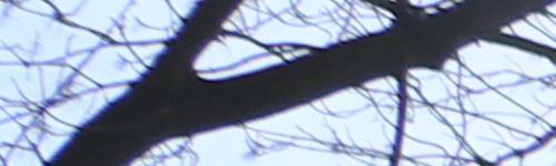 Canon EF-S 18-135mm f/3.5-5.6 IS Nano USM