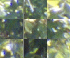 Fujifilm FinePix HS20EXR: důstojný nástupce