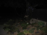 Canon PowerShot A540: Stříbrný šikula