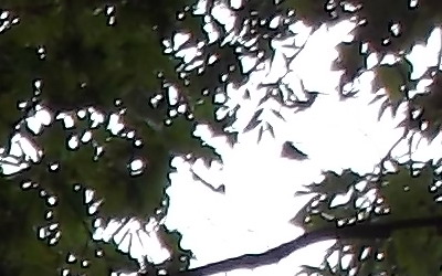 Fujifilm FinePix T200: nejlevnější ultrazoom Fuji