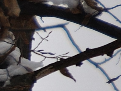 Dva objektivy nebo jeden ultrazoom?