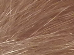 Nikon Coolpix P500: univerzální dalekohled