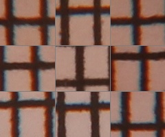 Canon EOS 550D: třídní premiant