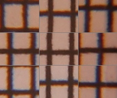 Canon EOS 550D: třídní premiant