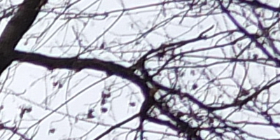 Fujifilm X-S1: jedinečný