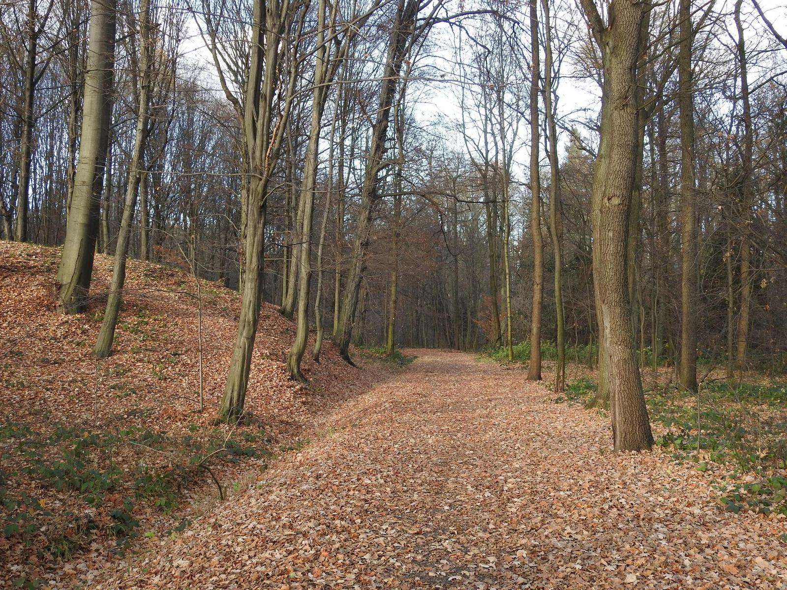 Nikon Coolpix P900: paparazzi