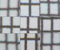 Fujifilm X-S1: jedinečný