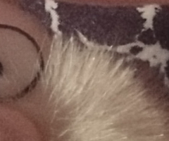 Sony Cyber-shot WX1: Vypilovaný drobek