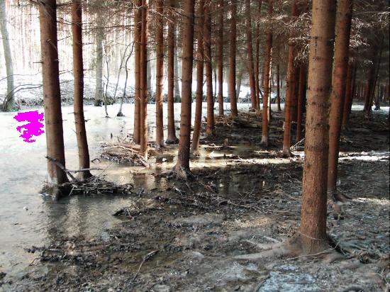 Pentagram Photon 484: Svérázný 4 Mpix ultrazoom