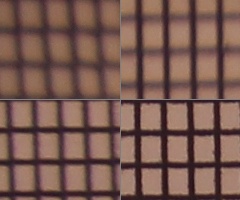 Canon EOS 550D: třídní premiant