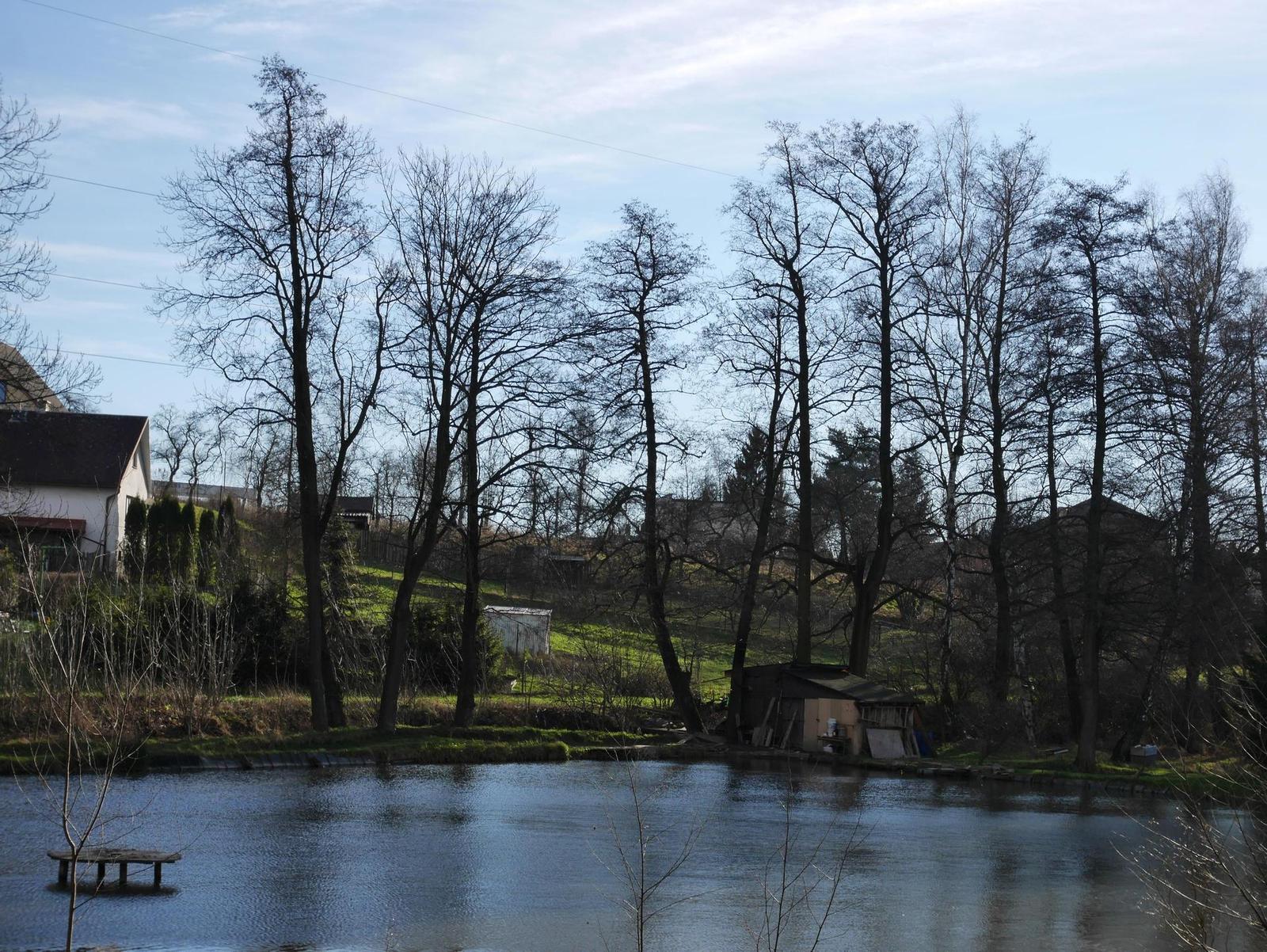 Panasonic Lumix G Vario 12-32mm f/3.5-5.6 ASPH. / MEGA O.I.S.