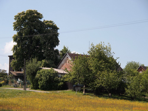 Olympus PEN E-PL2: PEN počtvrté a zase lépe