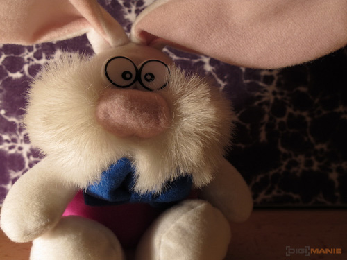 Canon PowerShot G11: géčko, o jakém jsme snili