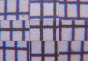 Canon PowerShot SX50 HS: překvapivá kombinace