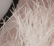 Sony A7R II (ILCE-7RM2): detaily na druhou