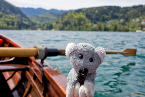 Koala cestuje: Slovinsko 2. díl (Bledské a Bohinjské jezero)