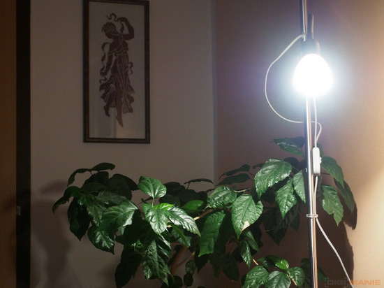 Olympus PEN E-PL5: s výkonnějším srdcem