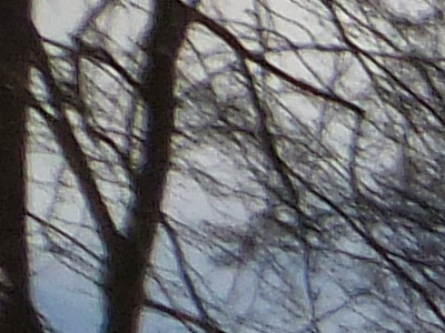 Fujifilm FinePix F300EXR: klame tělem