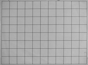 Nikon AF-P NIKKOR 18-55mm f/3.5-5.6G VR