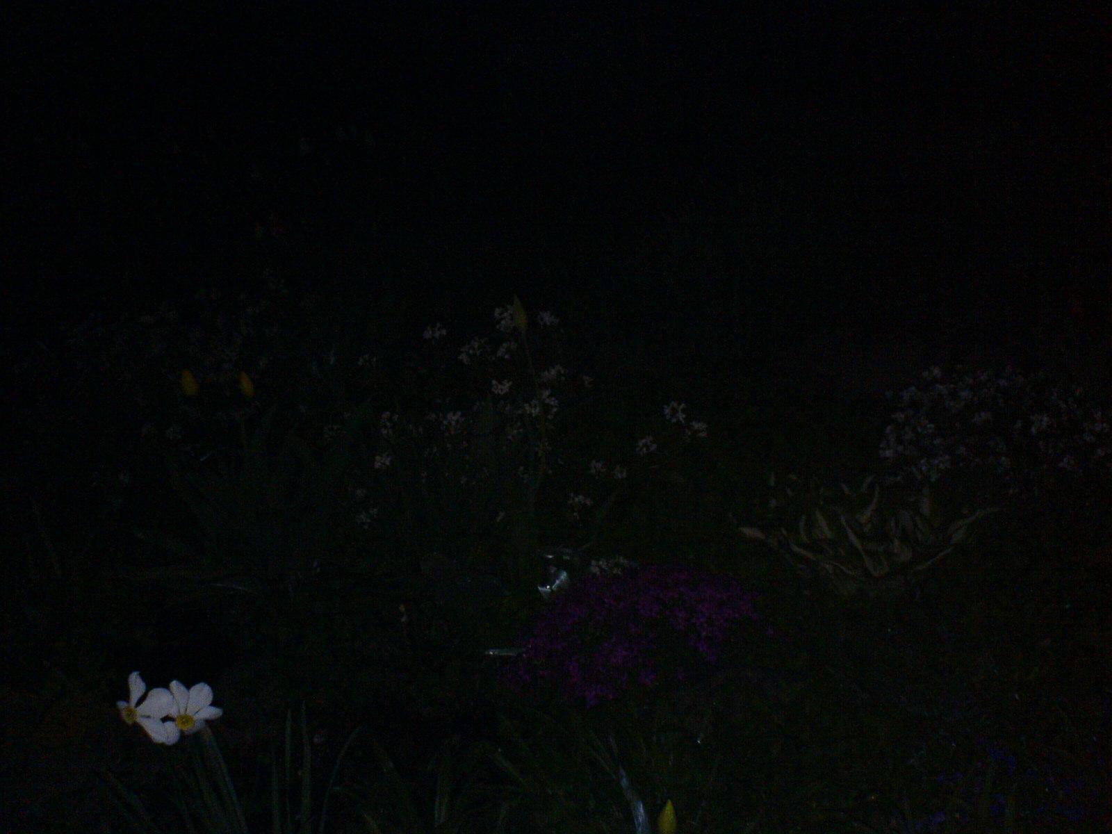 Téma pro tento měsíc - Jak fotí fotomobily, díl I.