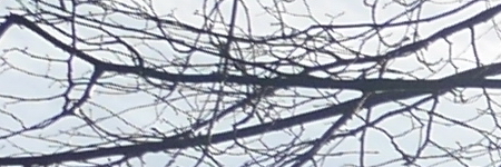 Panasonic Lumix G Vario 12-32mm f/3.5-5.6 ASPH. / MEGA O.I.S.