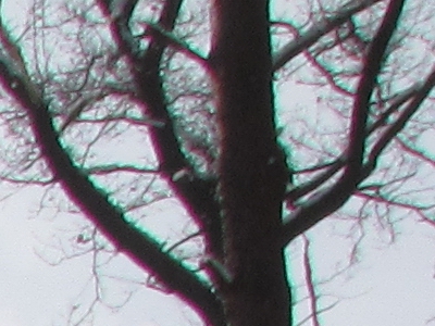 Canon PowerShot SX1 IS vs. SX10 IS: souboj CMOS a CCD