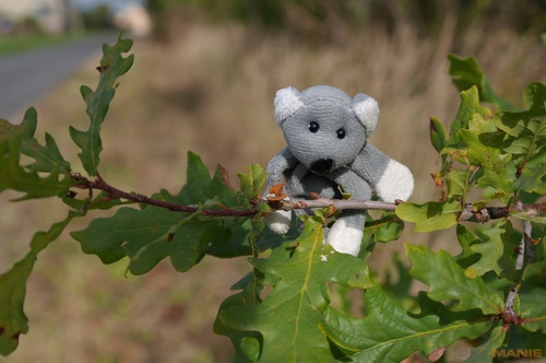 Fotíme s Koalou: Hloubka ostrosti