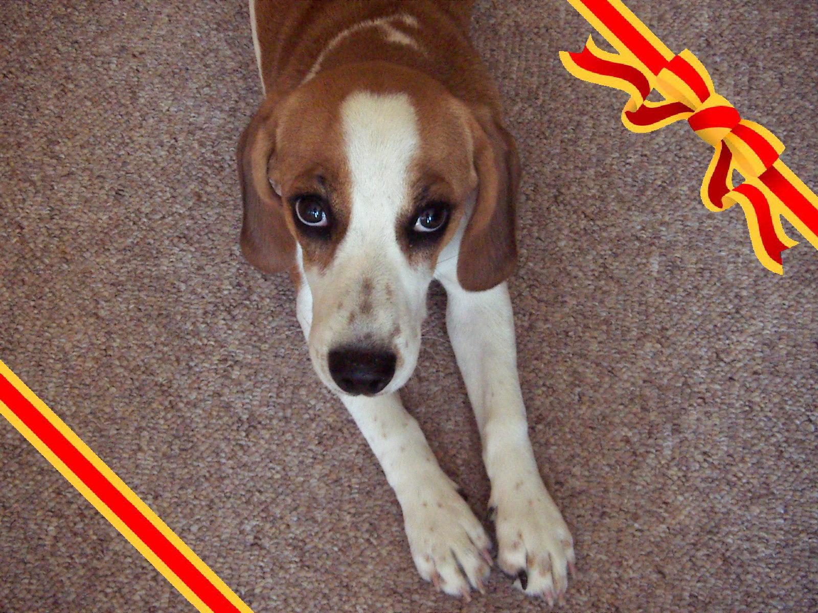 DiMAGE X21: decentní upgrade "lidové" dvacítky