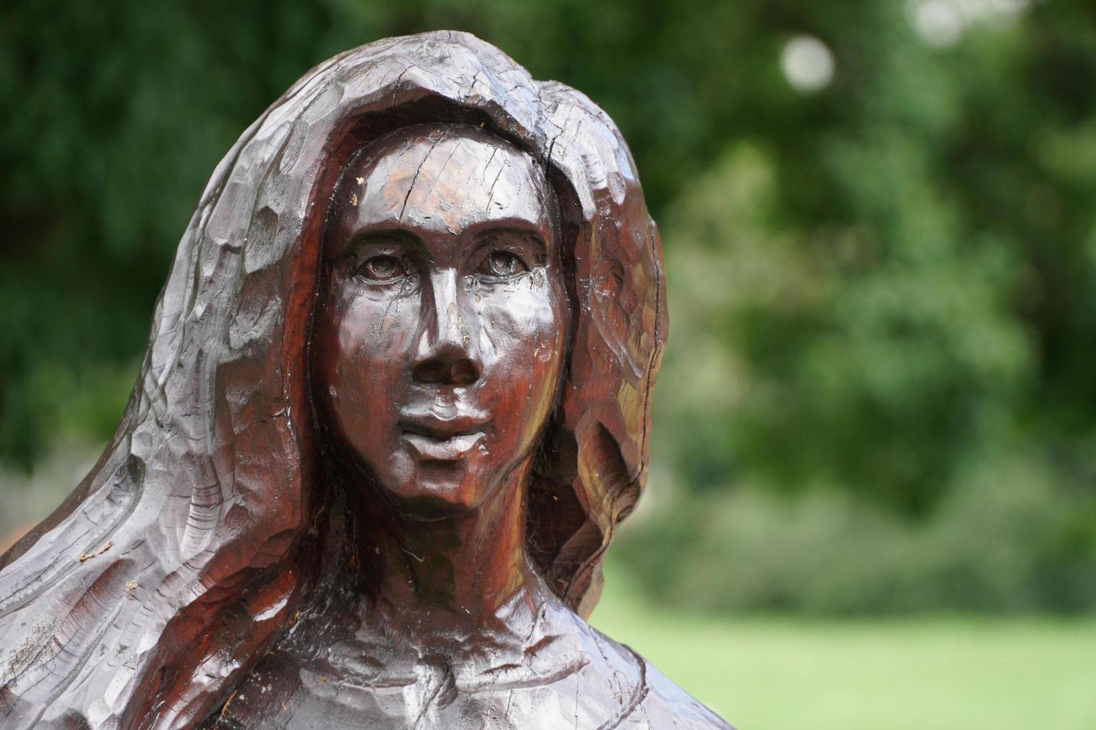 Sony E PZ 18-105mm F4 G OSS (SELP18105G)