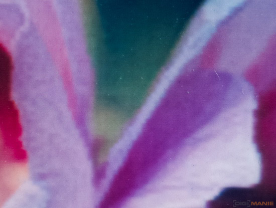 Canon SELPHY CP810: sněhobílá tiskárnička