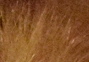 Nikon D5300: bezdrátový DSLR turista