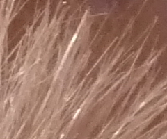 Panasonic Lumix TZ10: kapesní dělo