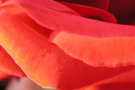 Světlo aneb nástroj každého fotografa - 4. díl